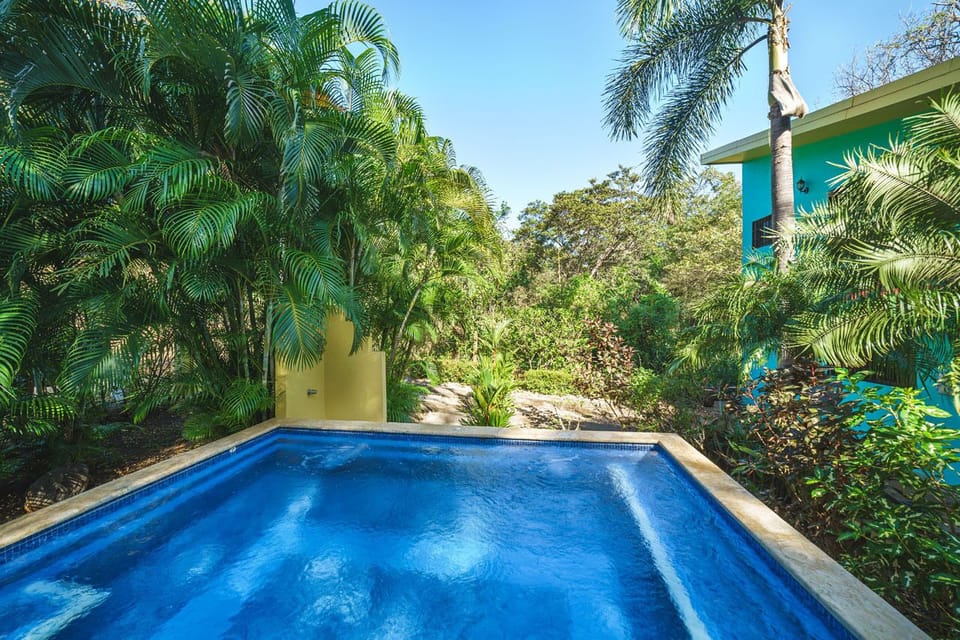Pool and outdoor shower.