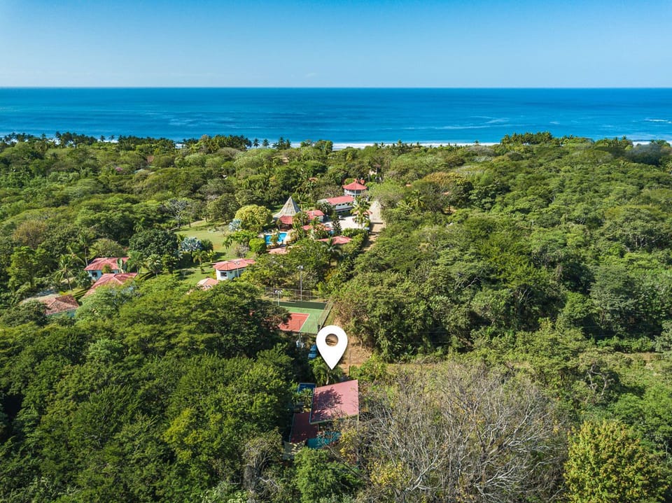 Villa Vida location: surrounded by nature and 7 min walk to the beach.