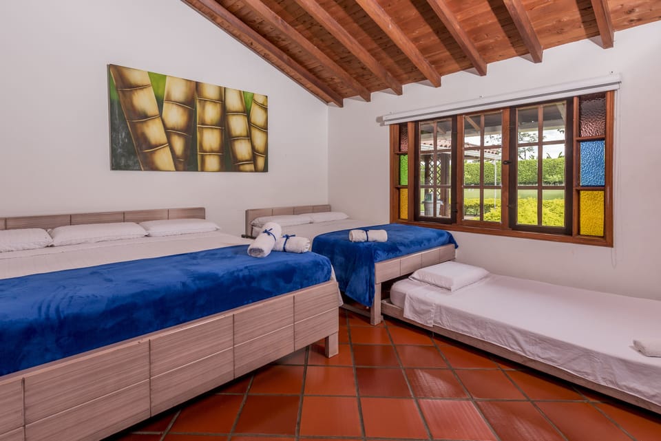 Habitacion Filandia | Egyptian cotton sheets, premium bedding, down comforters