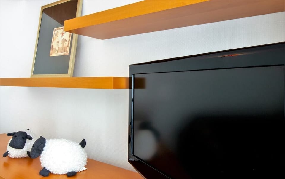 Television