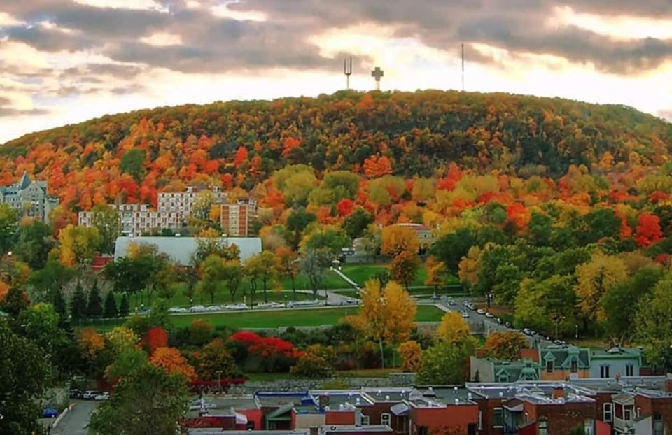 Mount Royal 
Great for hiking, and skating at Beaver  Lake