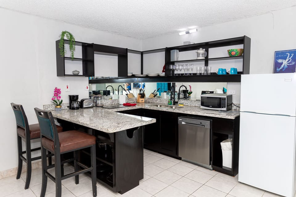Kitchen area, fully equipped with dishwasher, fridge, cooktop, microwave