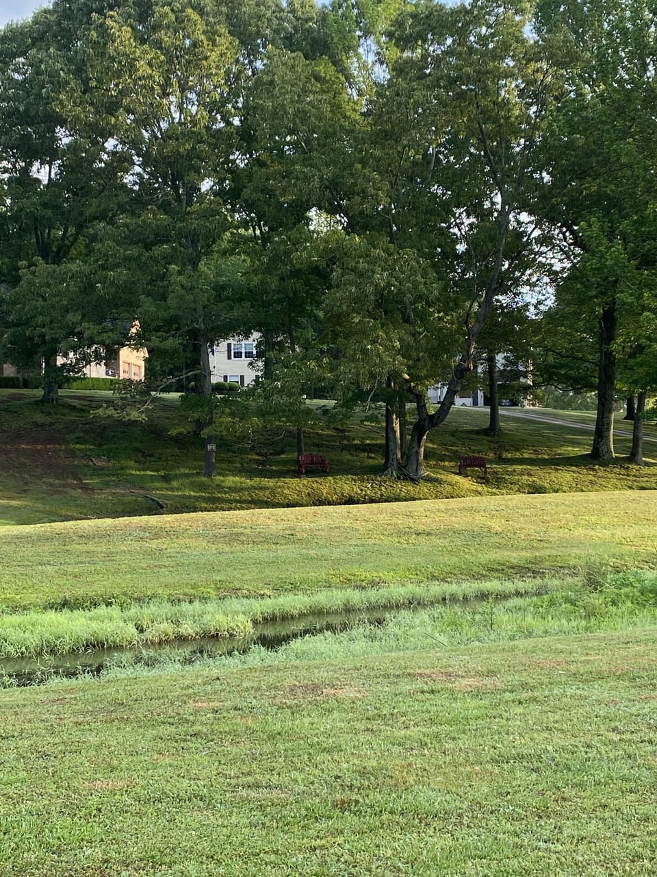 This is a view of the property from the county roadway. 