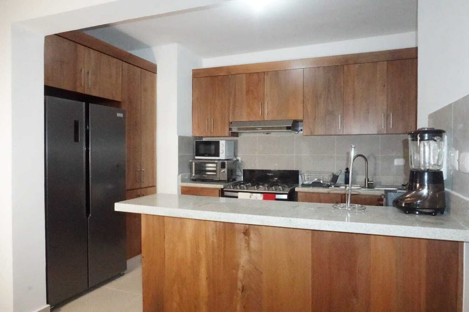 Luxury Apartment | Private kitchen | Fridge, microwave, oven, toaster