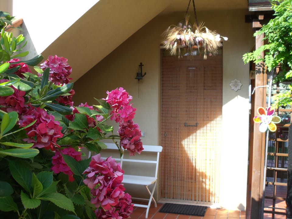 Ingresso