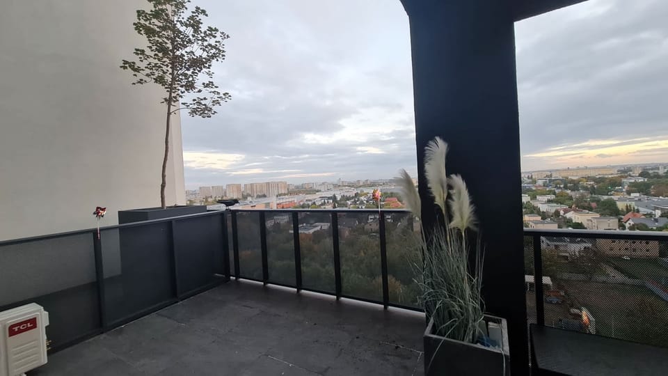 Another balcony view featuring decorative plants and an urban backdrop.
