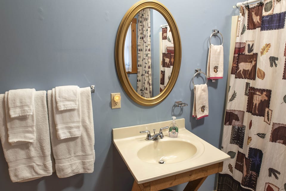 Downstairs bathroom.