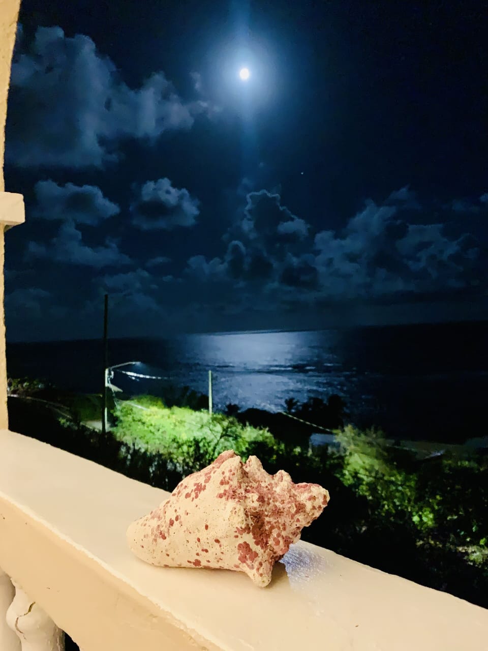Full Moon from the Balcony