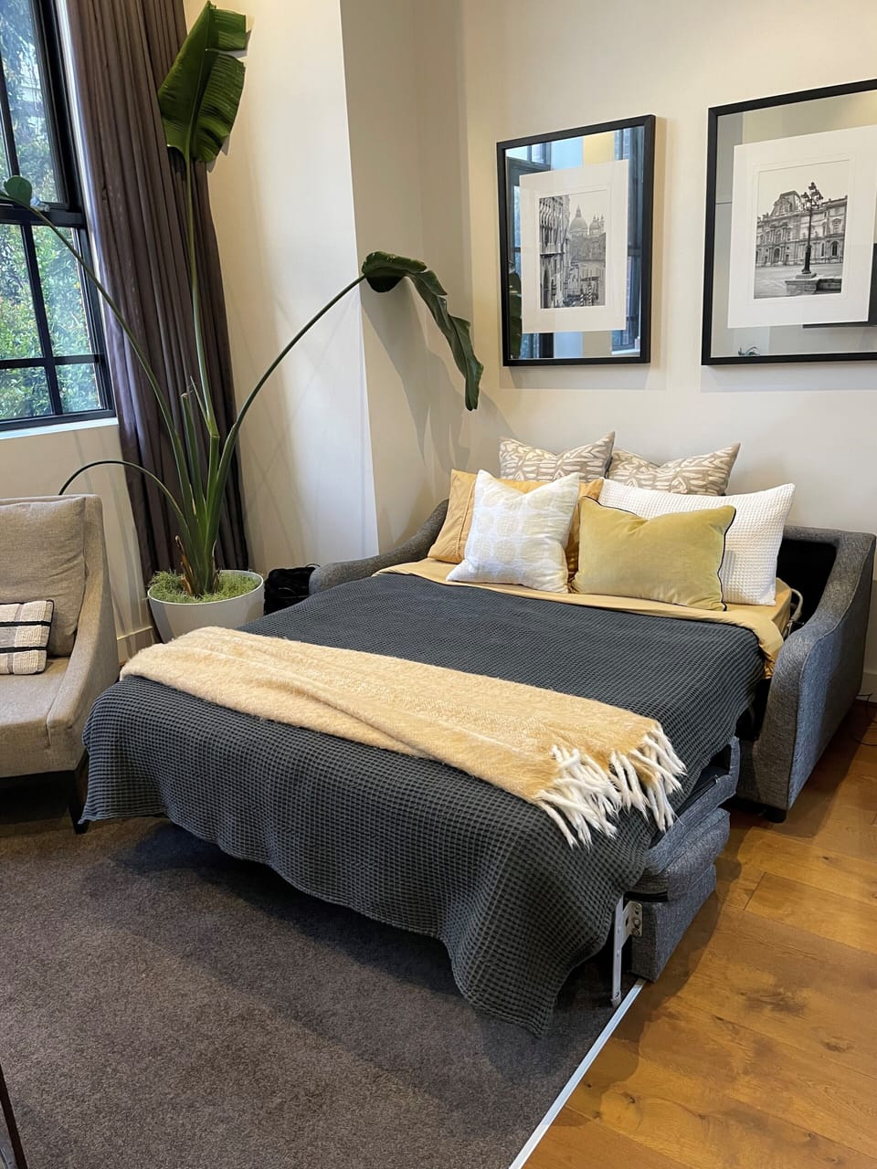 Sofa Bed 