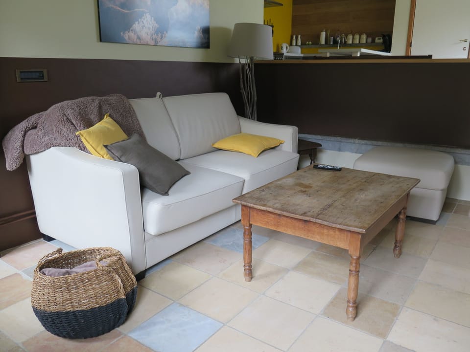 Premium Cottage | Living room | Flat-screen TV