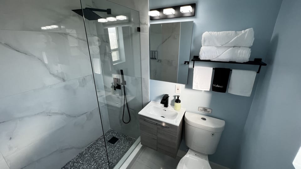 Modern spacious shower with rain shower overhead and Handheld Sprayer