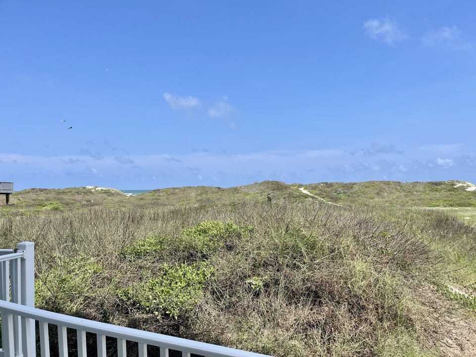 Condo, 1 Bedroom | View from property