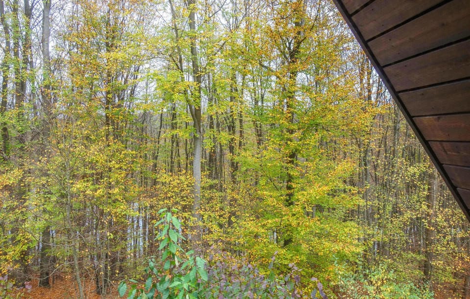 view-from-room