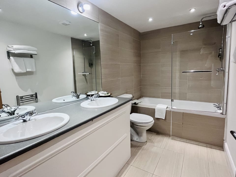 Deluxe Double Room | Bathroom | Free toiletries, hair dryer, towels, soap