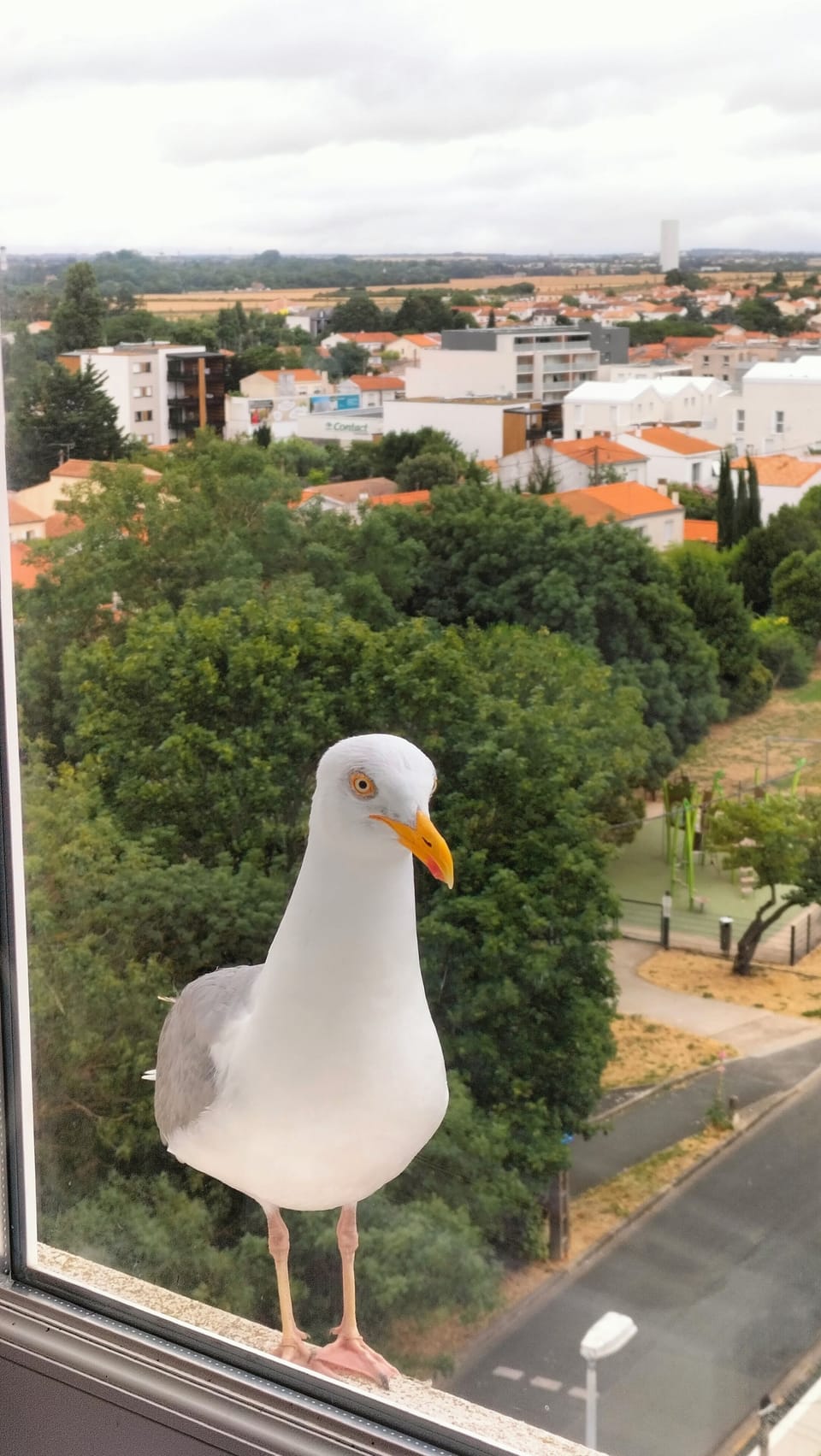 View from property