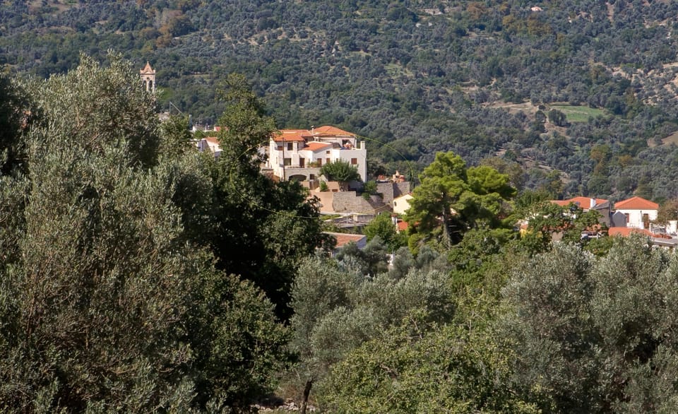 The exact location of the property