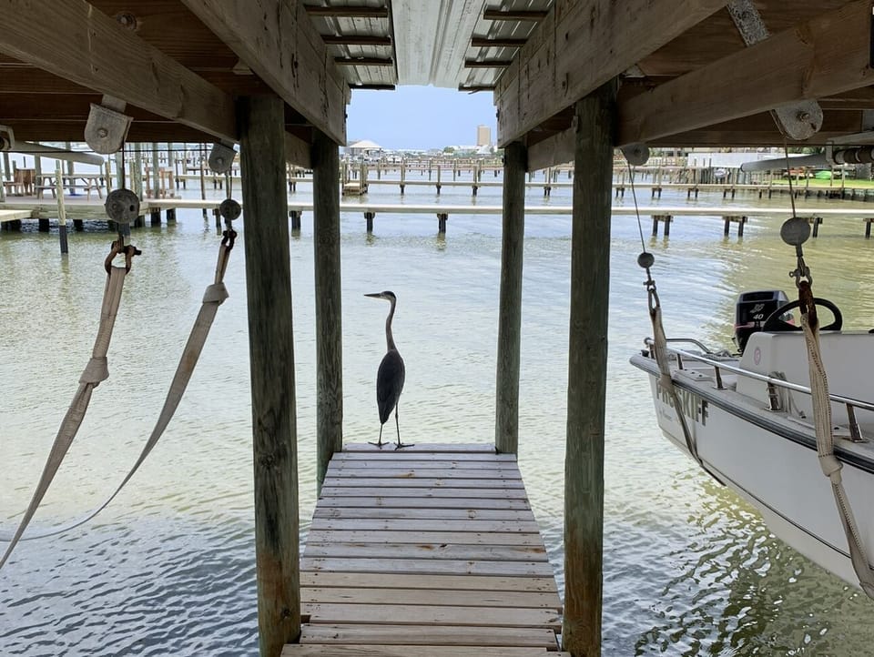 Enjoy fishing from the private dock! 
