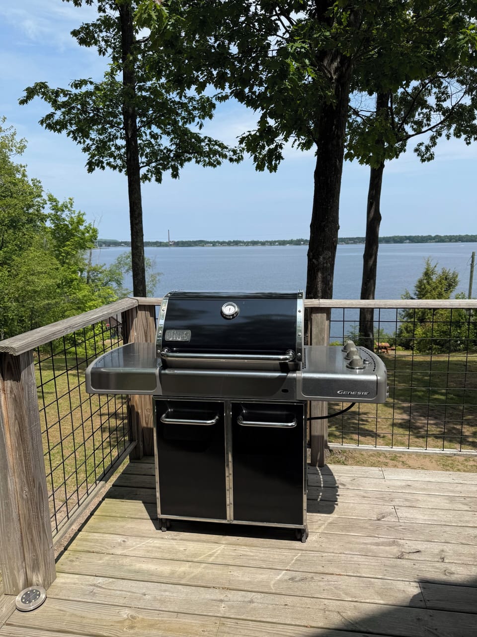 Weber gas grill. There is also a Weber charcoal grill.