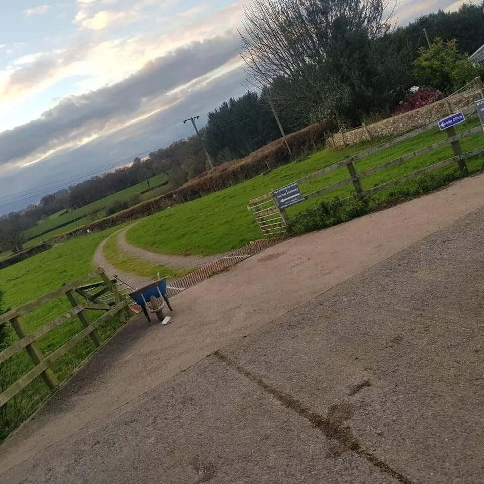 House | Property grounds