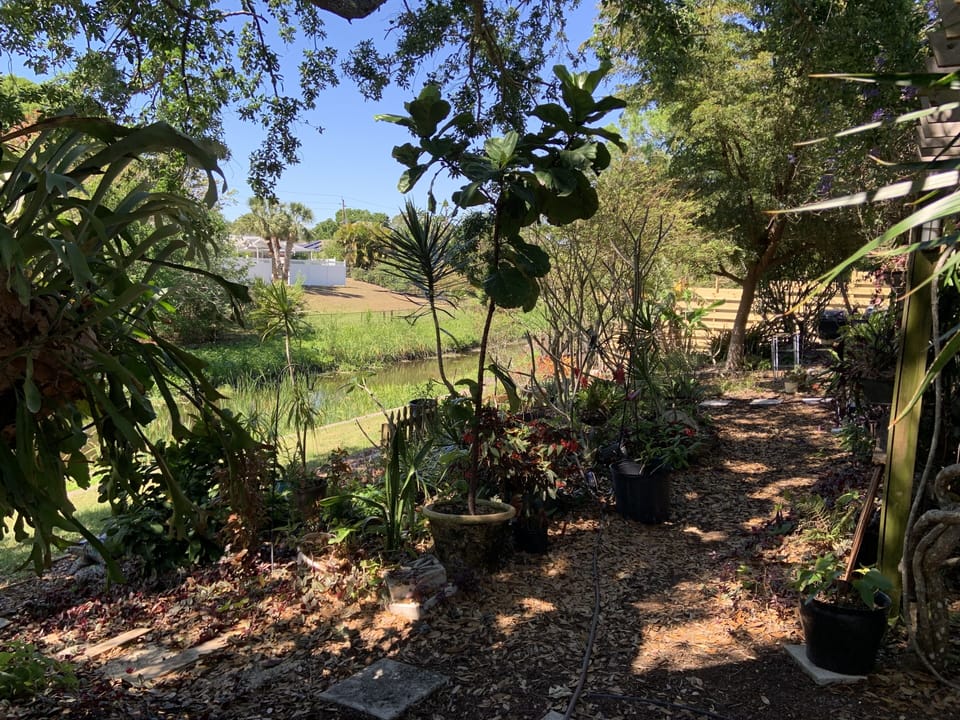 Backyard looking on Phillippi Creek