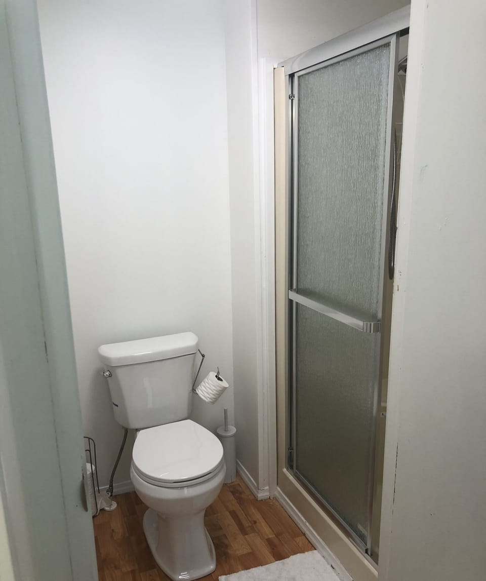 Primary-shower and toilet