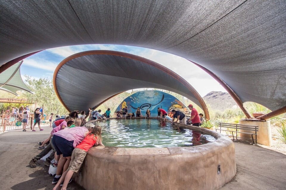 Visit Tucson - kids