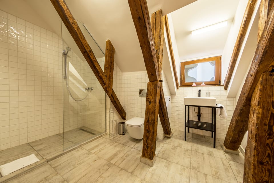 Standard Double or Twin Room | Bathroom | Shower, hair dryer, slippers, towels