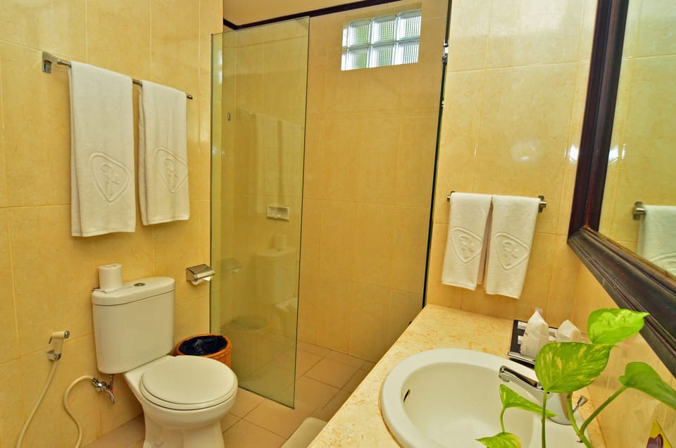 Shower, free toiletries, hair dryer, slippers
