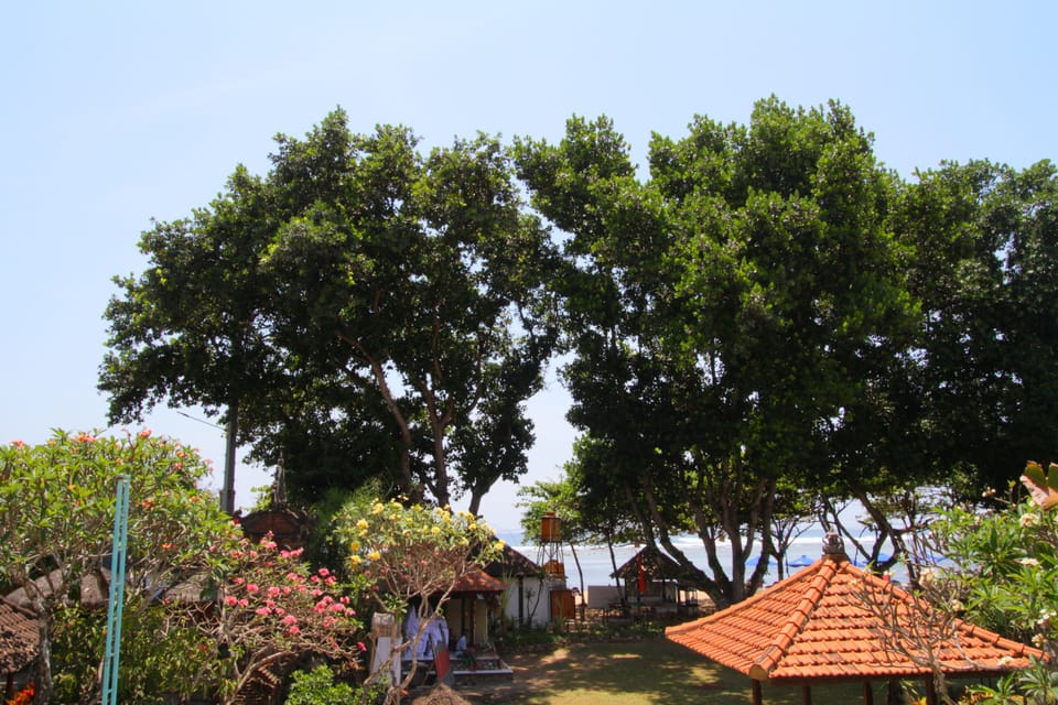 Junior Suite, 1 Double Bed | View from room
