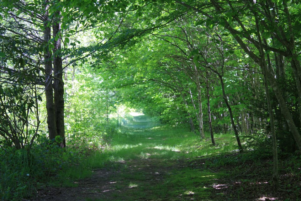 12 Nature Conservancy