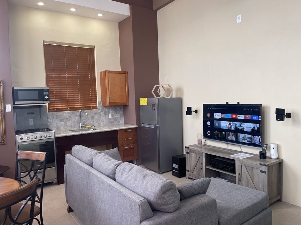 Deluxe Single Room | Living area | 32-inch flat-screen TV with digital channels, TV, toys