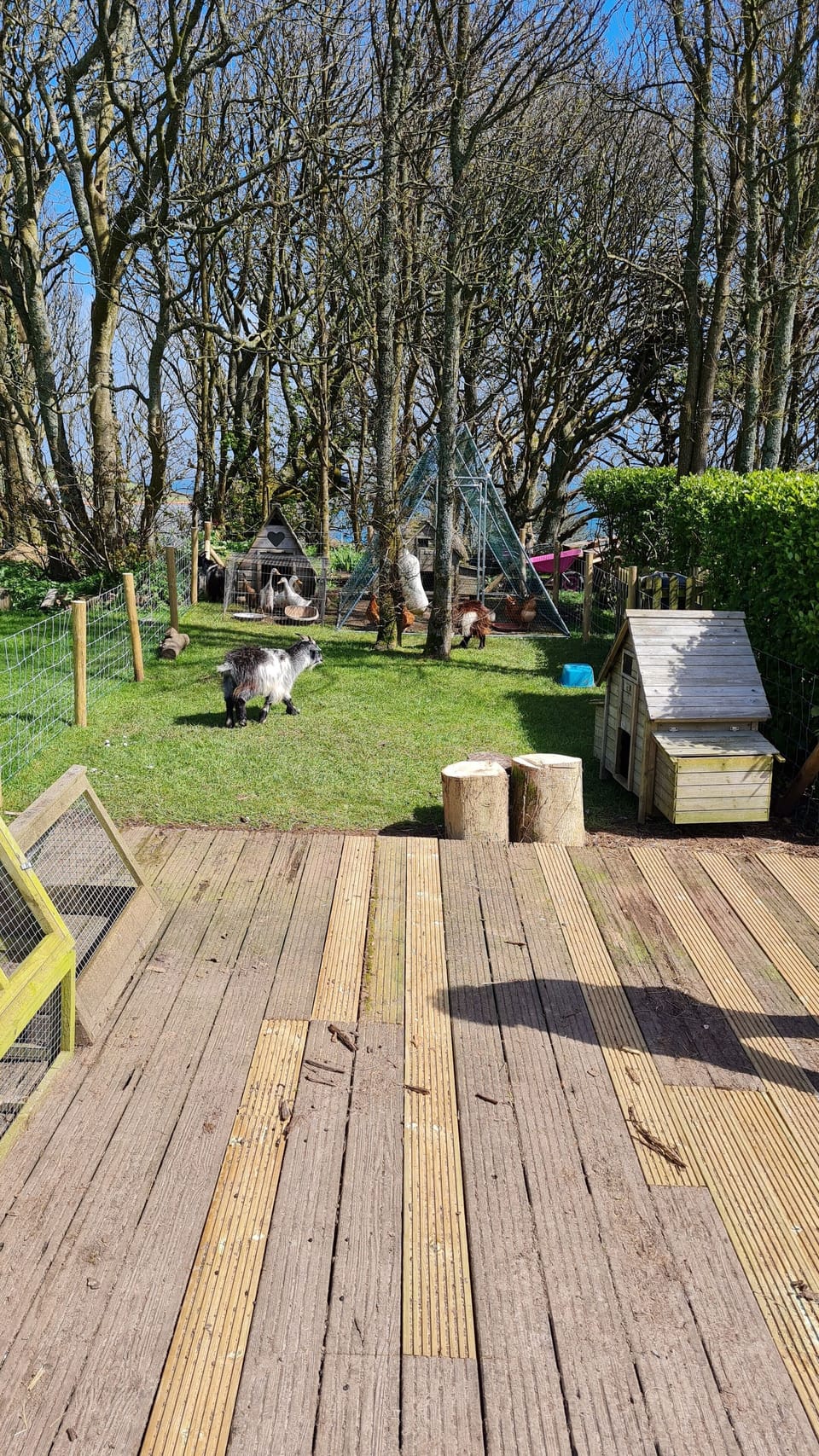 Terrace/patio