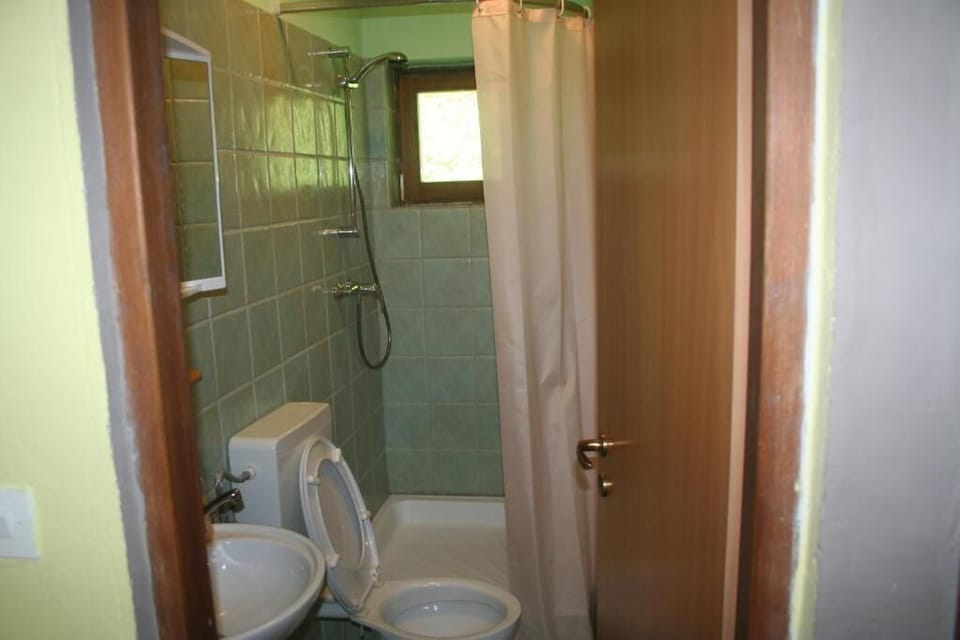 Shower, towels, soap, toilet paper