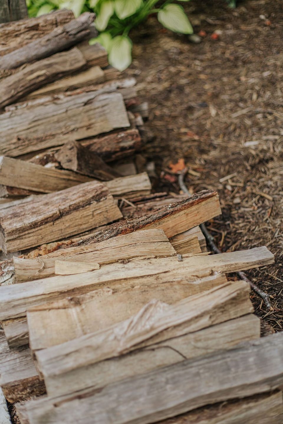 Firewood provided