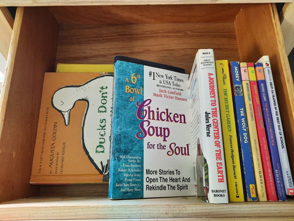 Assortment of books for family enjoyment.