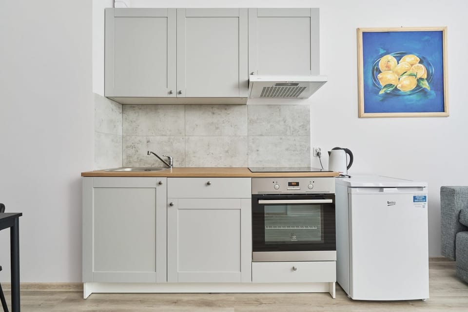 Kitchenette with plenty of kitchen utensils and dishes. 