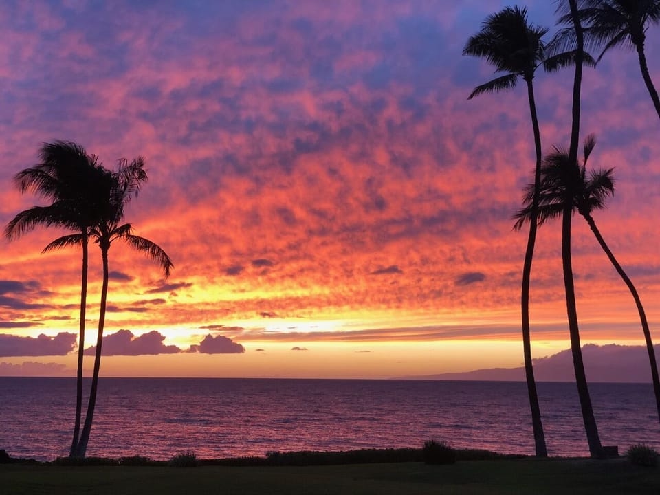 Imagine sitting with drink in hand watching these colors appear