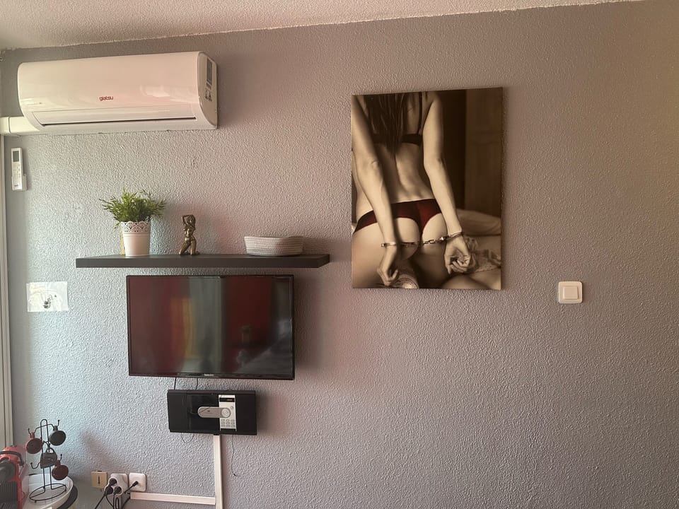 Television