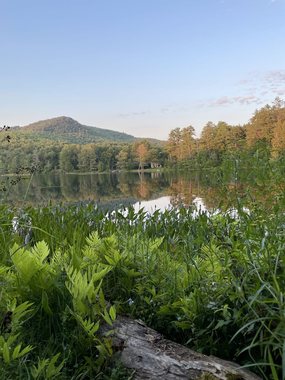 Moody pond and Mount Baker