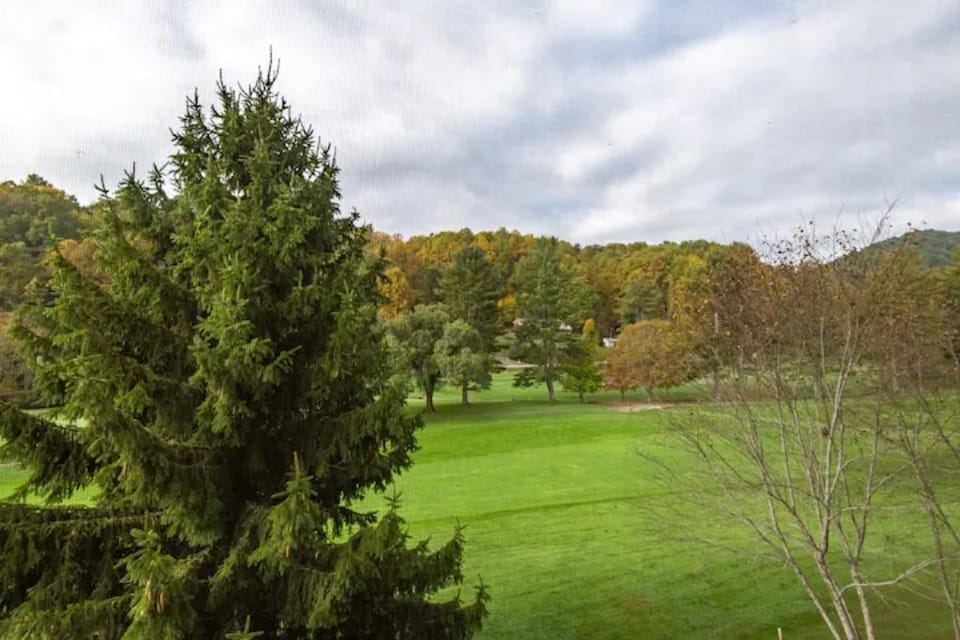 10th fairway