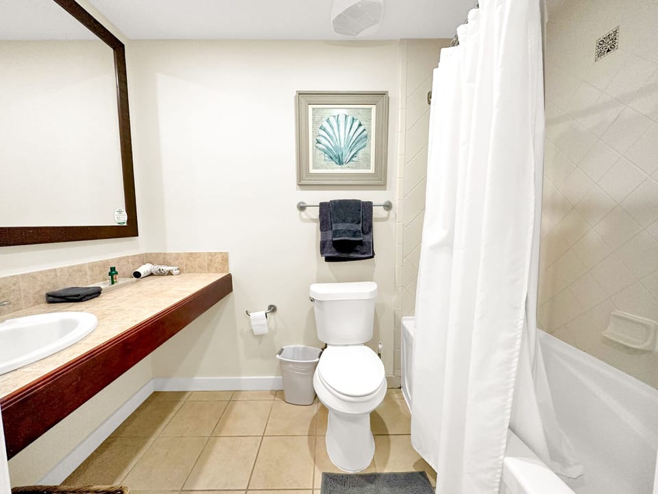 Bathroom with shower, tub, toilet, towels, shampoo, conditioner, soap and body lotion