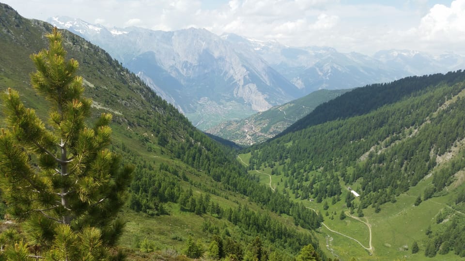 Mountain views