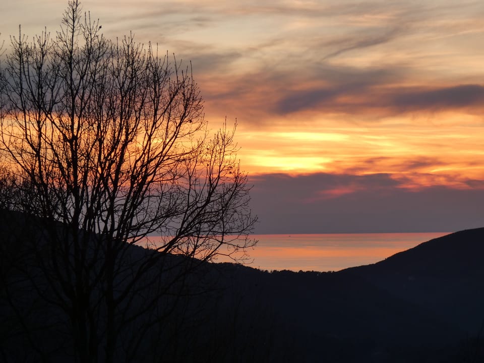 Elite Apartment, 1 Bedroom | View from room