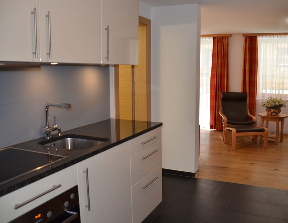 Economy Studio (eingeschränkter Blick) | Private kitchen | Fridge, oven, stovetop, electric kettle