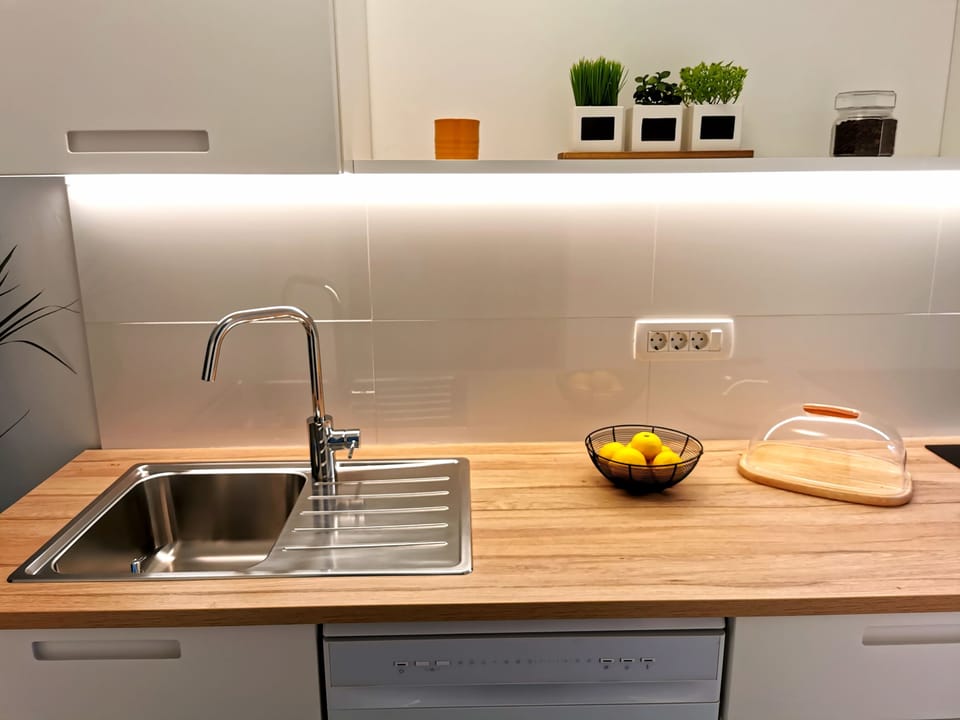 Premium Apartment | Private kitchen | Full-size fridge, oven, stovetop, dishwasher
