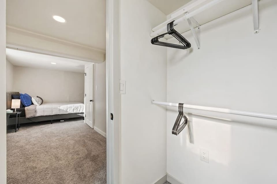 Basement Bedroom 2-closet