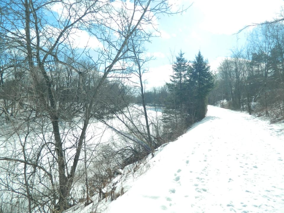 Skiing