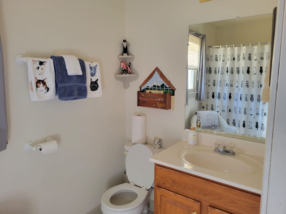 Downstairs full bath