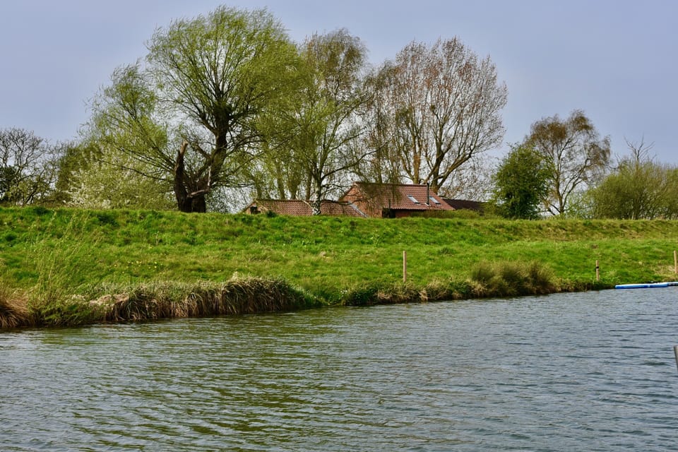 Image 17