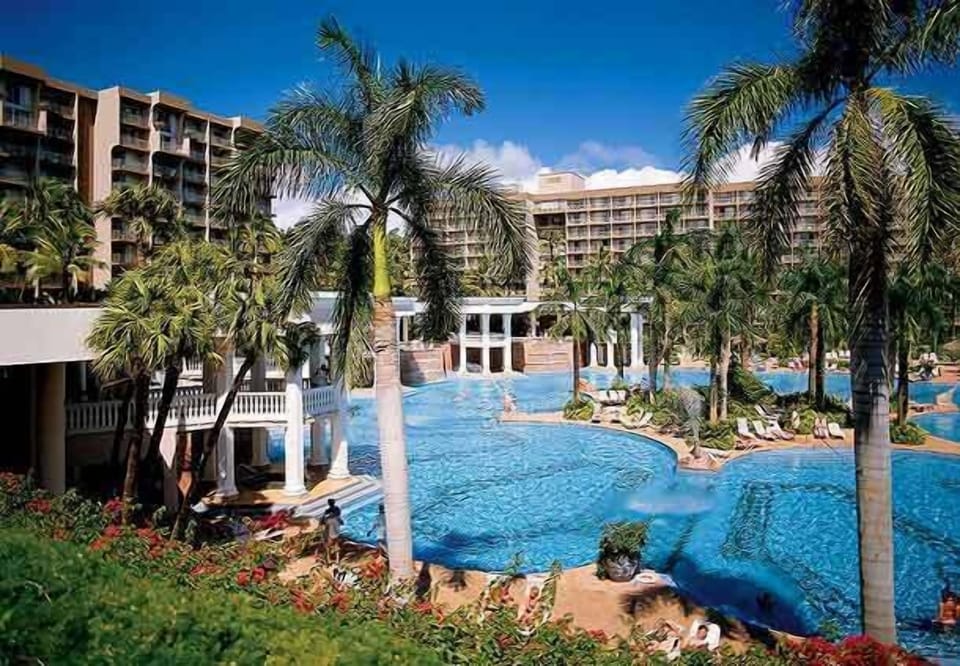 Image-6